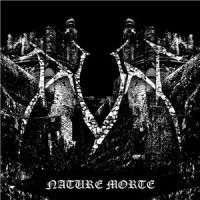 Dun - Nature Morte